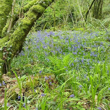 Liss Ard Estate سكيبيرين