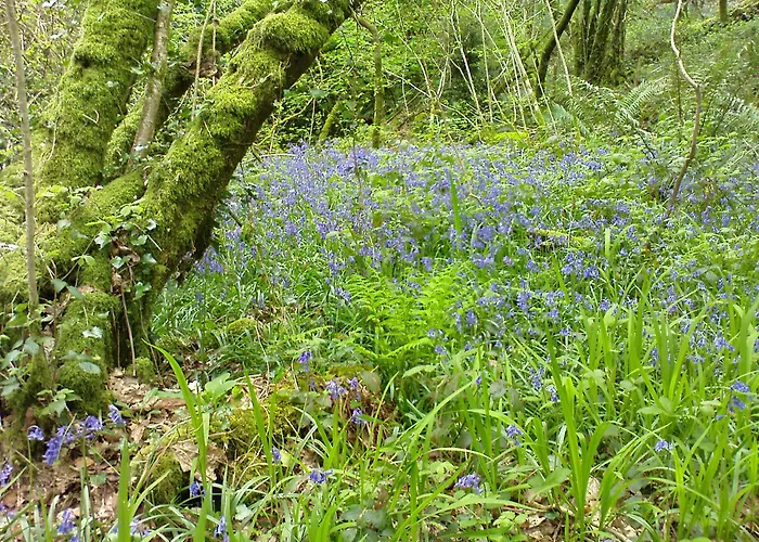Liss Ard Estate Skibbereen